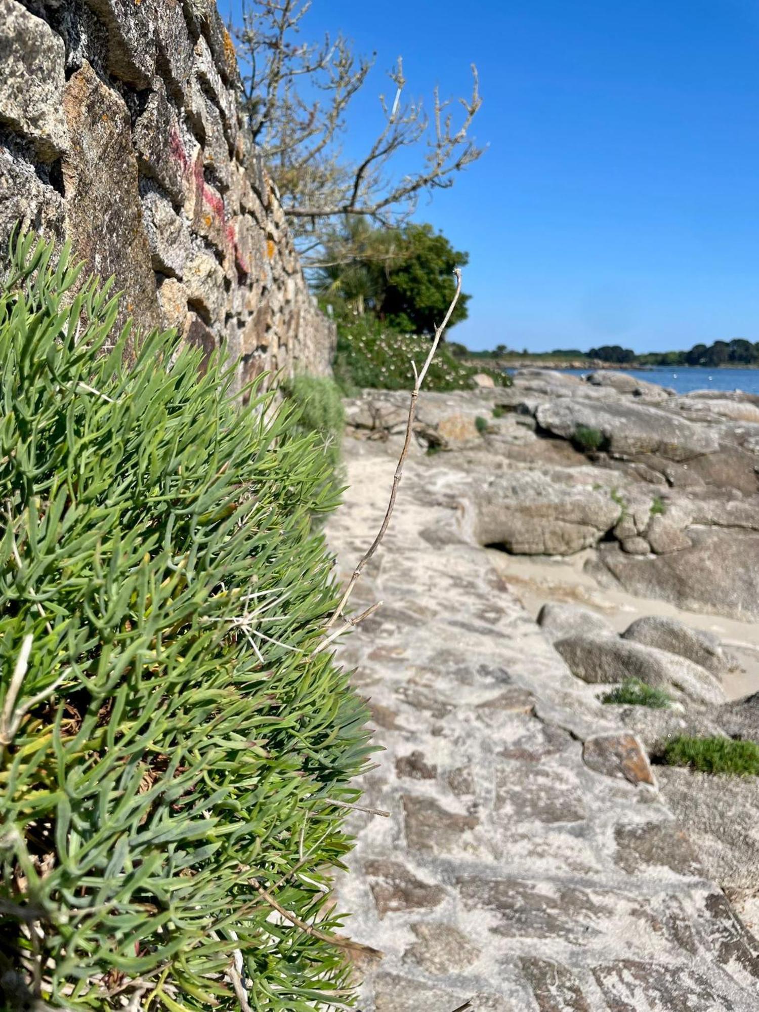 2 Maisons De Vacances Sittelles Lodge Concarneau Exterior foto